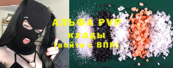 стафф Аркадак
