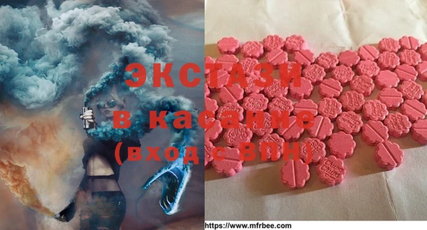 стафф Аркадак