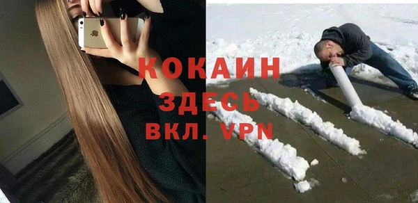 стафф Аркадак