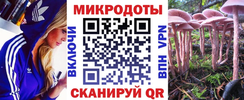 Псилоцибиновые грибы мухоморы  где купить наркотик  Шали 